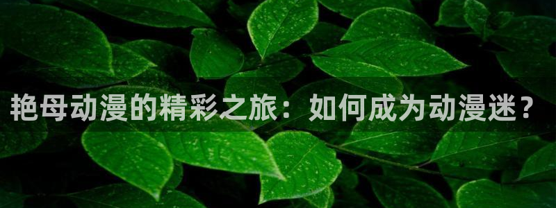 行业资讯